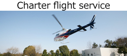 Air service